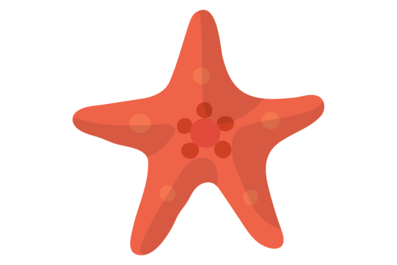 Starfish Color Icon: Red Sea Fauna Symbol for Bold Design