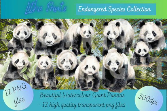 Watercolour Giant Pandas: Digital Art for Conservation