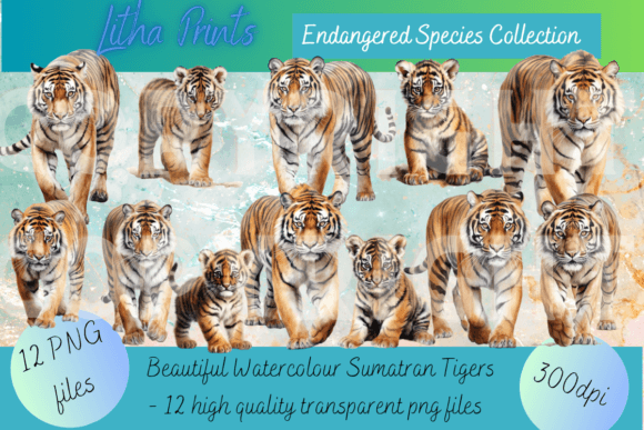 Watercolour Sumatran Tigers: Art with a Purpose